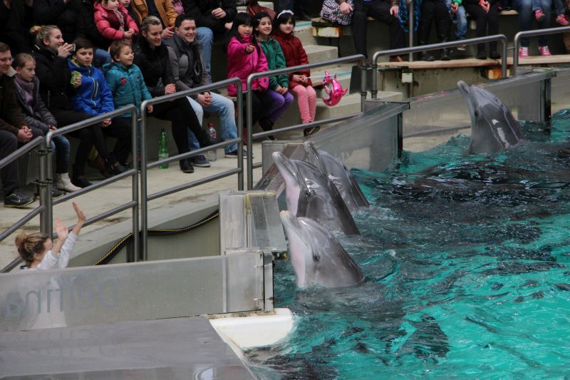 Duisburg Zoo April .2015 HP 18