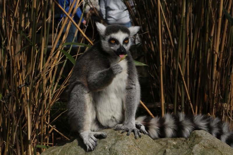 Duisburg Zoo April .2015 HP 25