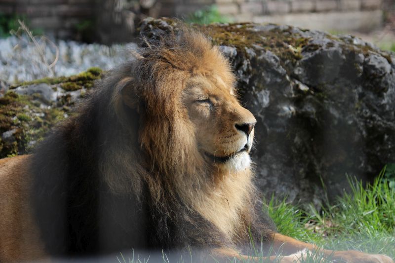 Duisburg Zoo April .2015 HP 7