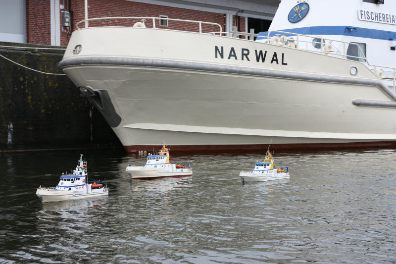 Narwal-Treffen  2014   HP 010