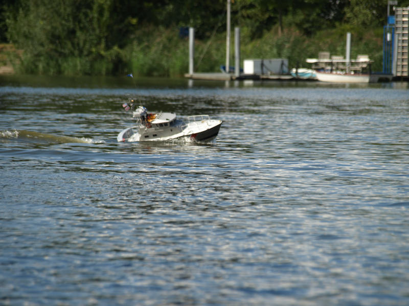 Warendorf 12   HP 009