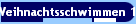 Weihnachtsschwimmen 14